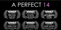 دانلود مستند A Perfect 14 2018 ( 14 کامل ) با لینک مستقیم