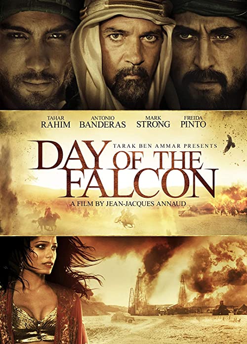 دانلود فیلم Day of the Falcon 2011 ( روزهای فالکون ۲۰۱۱ ) با زیرنویس فارسی چسبیده