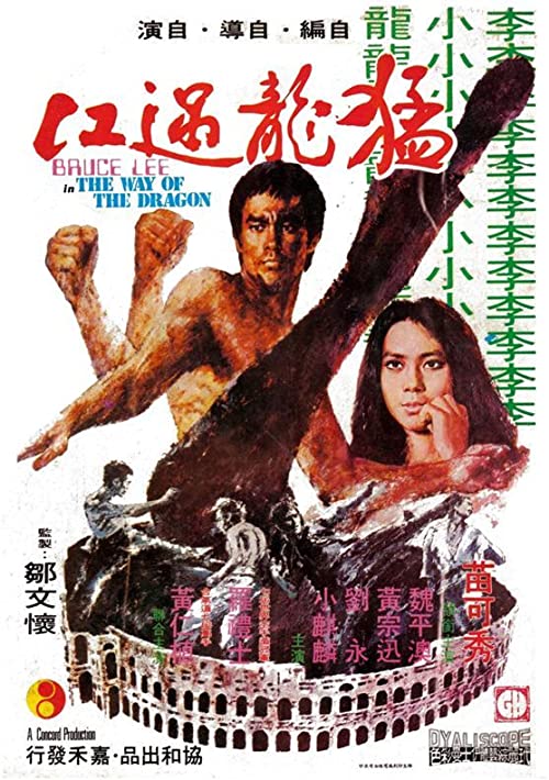 دانلود فیلم The Way of the Dragon 1972 ( راه اژدها ۱۹۷۲ ) با زیرنویس فارسی چسبیده