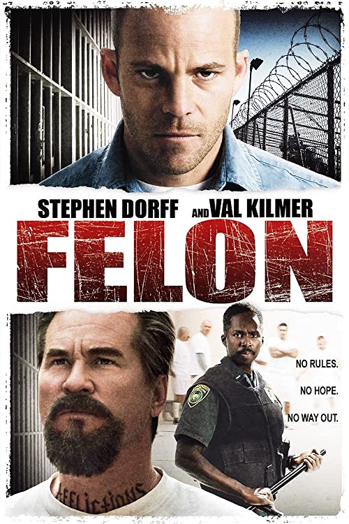 دانلود فیلم Felon 2008 ( فلون ۲۰۰۸ ) با زیرنویس فارسی چسبیده