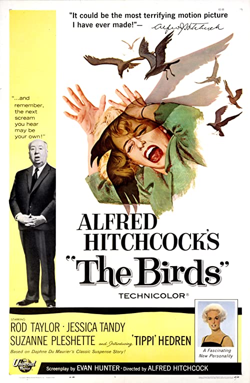 دانلود فیلم The Birds 1963 ( پرندگان ۱۹۶۳ ) با زیرنویس فارسی چسبیده