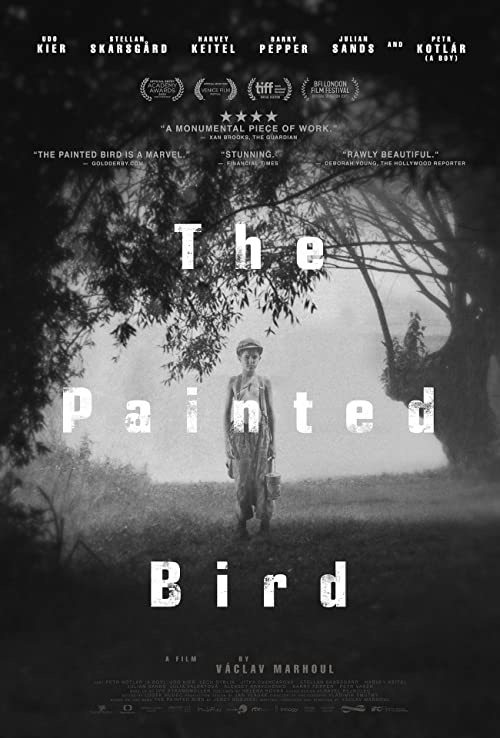 دانلود فیلم The Painted Bird 2019 ( پرنده نقاشی شده ) با زیرنویس فارسی چسبیده