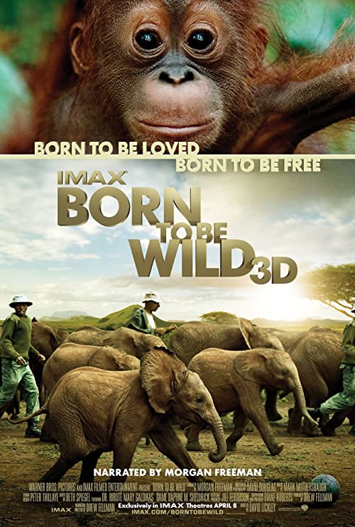 دانلود مستند Born to Be Wild 2011 ( وحشی متولد شد ۲۰۱۱ ) با زیرنویس فارسی چسبیده