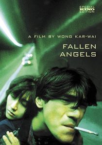 دانلود فیلم Fallen Angels 1995 ( فرشتگان سقوط کرده ۱۹۹۵ ) با زیرنویس فارسی چسبیده