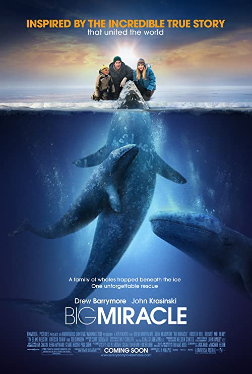 دانلود فیلم Big Miracle 2012 (معجزه آبی ۲۰۱۲) با زیرنویس فارسی چسبیده