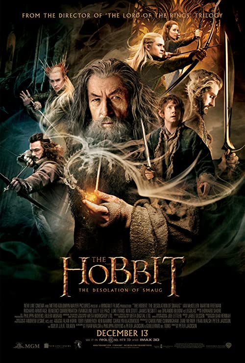 دانلود فیلم The Hobbit: The Desolation of Smaug 2013 ( سرزمین میانه ۱: هابیت ۲: ویرانی اسماگ ۲۰۱۳ ) با زیرنویس فارسی چسبیده