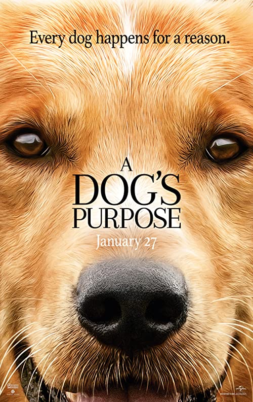دانلود فیلم A Dog’s Purpose 2017 ( هدف یک سگ ۲۰۱۷ ) با زیرنویس فارسی چسبیده