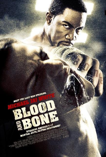 دانلود فیلم Blood and Bone 2009 ( خون و استخوان ۲۰۰۹ ) با زیرنویس فارسی چسبیده