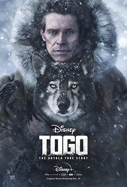 دانلود فیلم Togo 2019 ( توگو ۲۰۱۹ ) با زیرنویس فارسی چسبیده