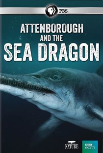 دانلود مستند Attenborough and the Sea Dragon 2018 ( آتنبورو و اژدهای دریایی ۲۰۱۸ ) با زیرنویس فارسی چسبیده