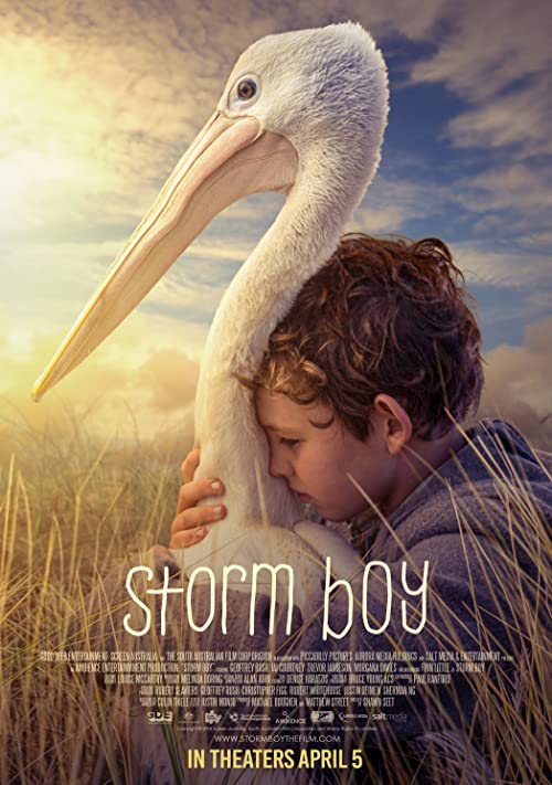 دانلود فیلم Storm Boy 2019 ( پسر طوفان ۲۰۱۹ ) با زیرنویس فارسی چسبیده