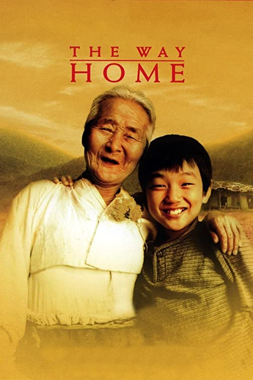 دانلود فیلم The Way Home 2002 ( راه خانه ۲۰۰۲ ) با زیرنویس فارسی چسبیده