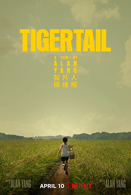 دانلود فیلم Tigertail 2020 ( دم ببر ۲۰۲۰ ) با زیرنویس فارسی چسبیده