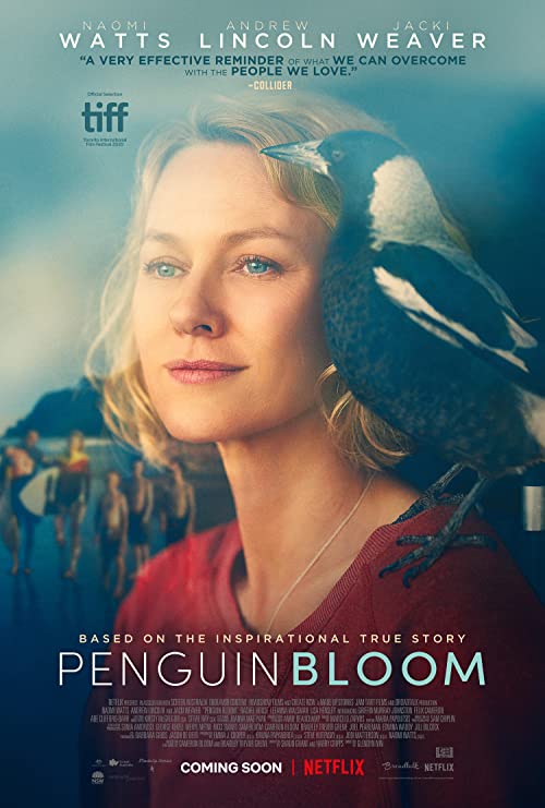 دانلود فیلم Penguin Bloom 2020 ( شکوفایی پنگوئن ۲۰۲۰ ) با زیرنویس فارسی چسبیده