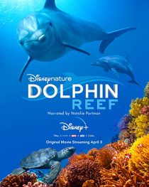 دانلود مستند Dolphin Reef 2018 ( صخره دلفین ۲۰۱۸ ) با لینک مستقیم