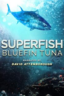 دانلود مستند Superfish Bluefin Tuna 2012 (سوپر ماهی بلوفین ۲۰۱۲)