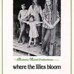 Where the Lilies Bloom