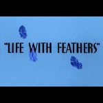 Life with Feathers