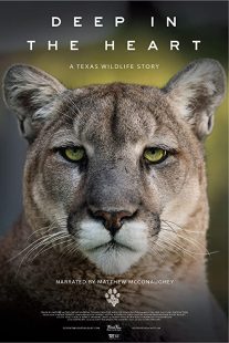 دانلود مستند Deep in the Heart: A Texas Wildlife Story 2022 ( در اعماق قلب حیات وحش تگزاس ۲۰۲۲ ) با زیرنویس فارسی چسبیده