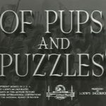 Of Pups and Puzzles