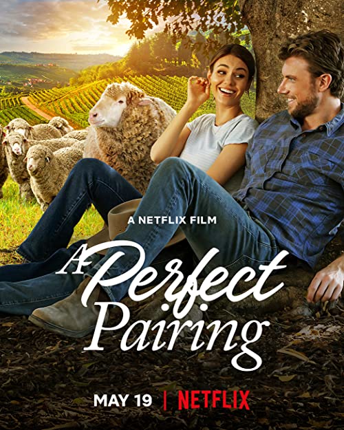 دانلود فیلم A Perfect Pairing 2022 ( یک زوج عالی ۲۰۲۲ )‌ با زیرنویس فارسی چسبیده