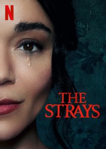 دانلود فیلم The Strays 2023 ( ولگردها ۲۰۲۳ ) با زیرنویس فارسی چسبیده