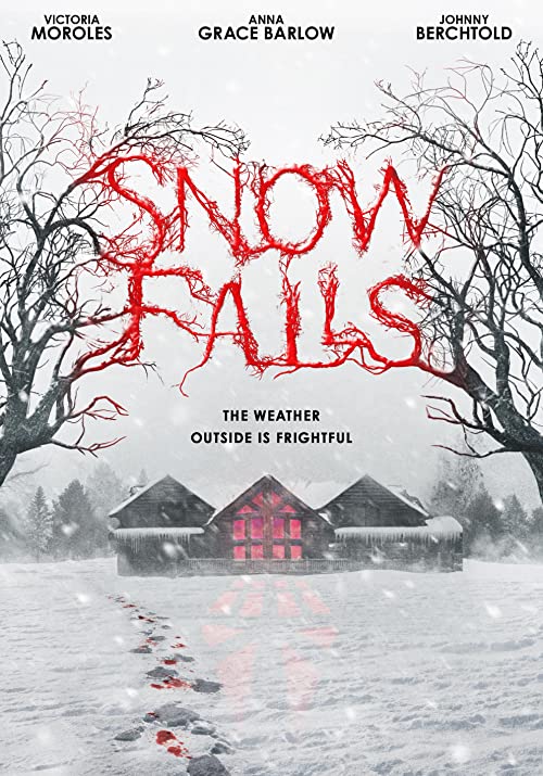 دانلود فیلم Snow Falls 2023 ( بارش برف ۲۰۲۳ ) با زیرنویس فارسی چسبیده