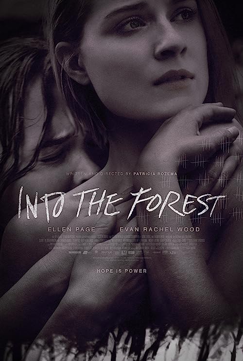 دانلود فیلم Into the Forest 2015 ( درون جنگل ۲۰۱۵ ) با زیرنویس فارسی چسبیده