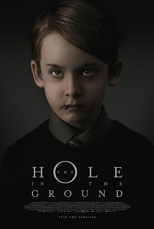 دانلود فیلم The Hole in the Ground 2019 ( حفره ای در زمین ۲۰۱۹ ) با زیرنویس فارسی چسبیده