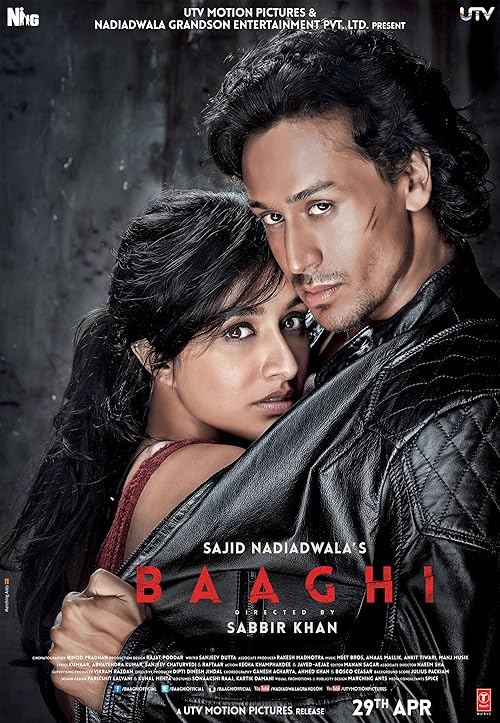 دانلود فیلم Baaghi 2016 ( باغی ۲۰۱۶ ) با زیرنویس فارسی چسبیده