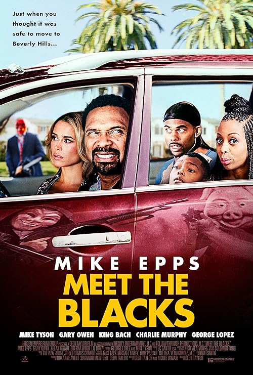 دانلود فیلم Meet the Blacks 2016 ( دیدار با سیاه پوستان ۲۰۱۶ ) با زیرنویس فارسی چسبیده