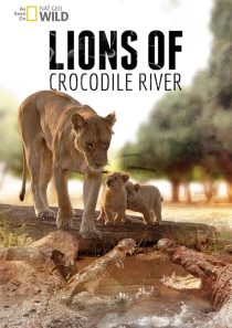 دانلود مستند Lions of Crocodile River 2007 ( شیرهای رودخانه کروکودیل ۲۰۰۷ )