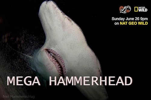 دانلود مستند Mega Hammerhead 2016 ( مگا سر چکش ) با لینک مستقیم