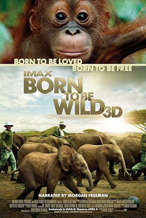 دانلود مستند Born to Be Wild 2011 ( وحشی متولد شد ۲۰۱۱ ) با زیرنویس فارسی چسبیده