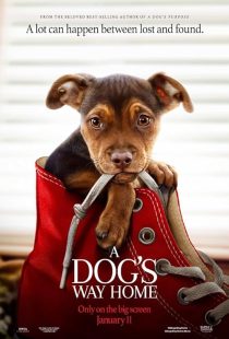دانلود فیلم A Dog’s Way Home 2019 ( مسیر بازگشت یک سگ به خانه ۲۰۱۹ ) با زیرنویس فارسی چسبیده