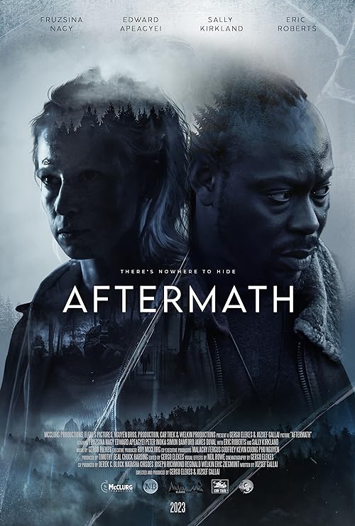 دانلود فیلم Aftermath 2024 ( عواقب ۲۰۲۴ ) با زیرنویس فارسی چسبیده