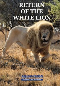 دانلود مستند Return of the White Lion 2008 ( بازگشت شیر سفید ۲۰۰۸ ) با لینک مستقیم