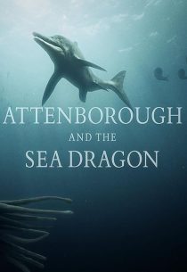 دانلود مستند Attenborough and the Sea Dragon 2018 ( آتنبورو و اژدهای دریایی ۲۰۱۸ ) با زیرنویس فارسی چسبیده