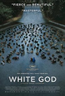 دانلود فیلم White God 2014 ( خدای سفید ۲۰۱۴ ) با زیرنویس فارسی چسبیده