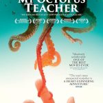 دانلود مستند My Octopus Teacher 2020 ( معلم اختاپوس من ۲۰۲۰ ) با زیرنویس فارسی چسبیده