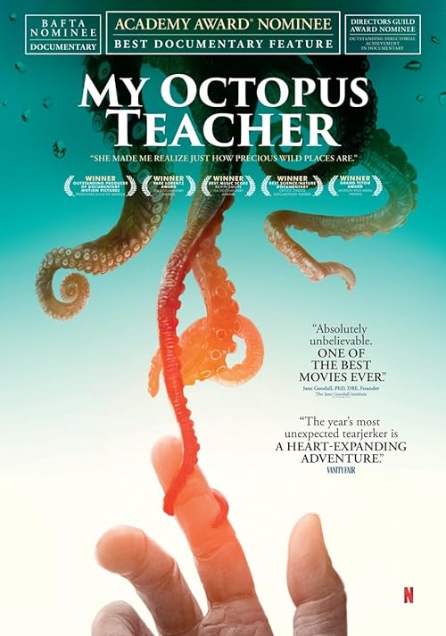 دانلود مستند My Octopus Teacher 2020 ( معلم اختاپوس من ۲۰۲۰ ) با زیرنویس فارسی چسبیده