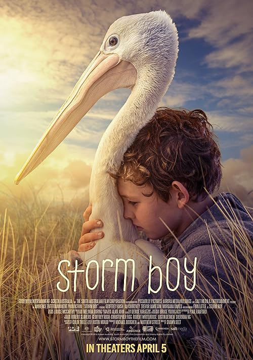 دانلود فیلم Storm Boy 2019 ( پسر طوفان ۲۰۱۹ ) با زیرنویس فارسی چسبیده