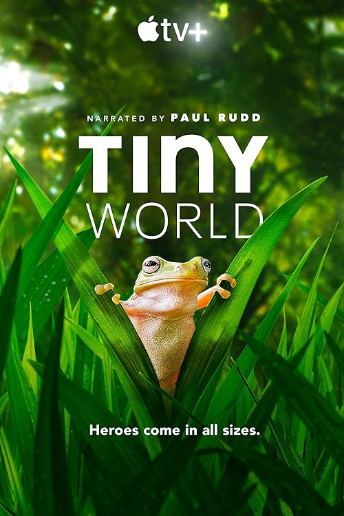 دانلود سریال Tiny World ( دنیای کوچک ) با زیرنویس فارسی چسبیده