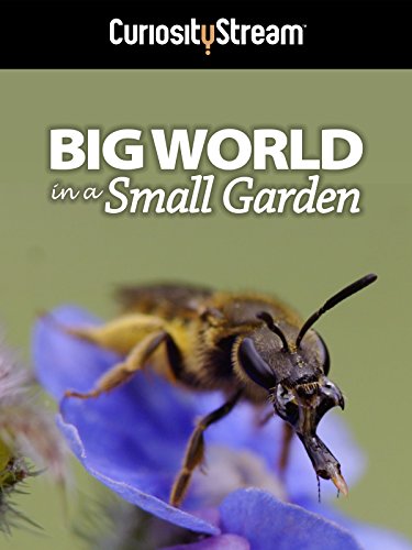 دانلود مستند Big World in a Small Garden 2016 ( دنیای بزرگ در یک باغ کوچک ) با لینک مستقیم
