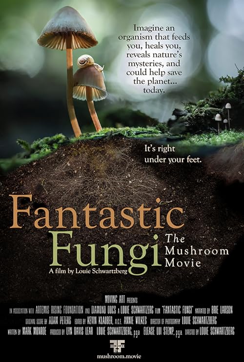 دانلود مستند Fantastic Fungi 2019 ( قارچ های خارق العاده ) با زیرنویس فارسی چسبیده