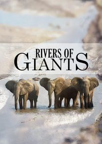 دانلود مستند Rivers of Giants 2005 ( رودخانه های غول ها ۲۰۰۵ )