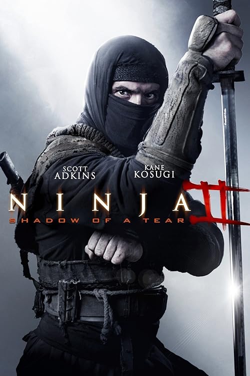 دانلود فیلم Ninja: Shadow of a Tear 2013 ( نینجا سایه یک قطره اشک ۲۰۱۳ ) با زیرنویس فارسی چسبیده