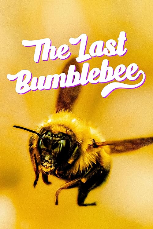 دانلود مستند The Last Bumblebee 2024 ( آخرین زنبور عسل ۲۰۲۴ ) با زیرنویس فارسی چسبیده