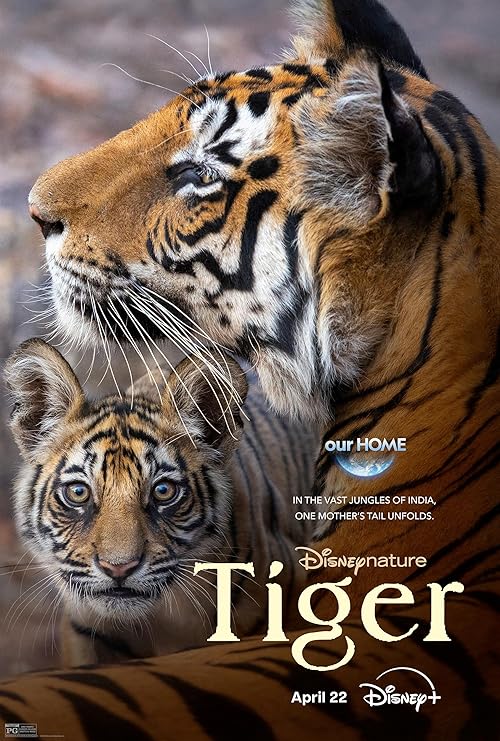 دانلود مستند Tiger 2024 ( ببر ۲۰۲۴ ) با زیرنویس فارسی چسبیده