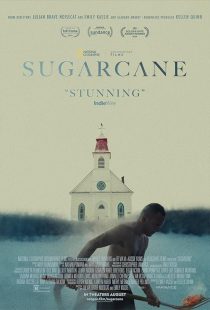 Sugarcane 2024